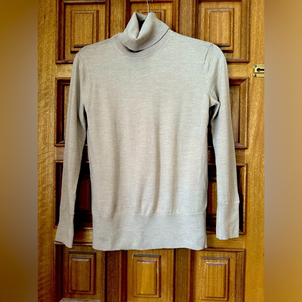 Club Monaco Wool Turtleneck